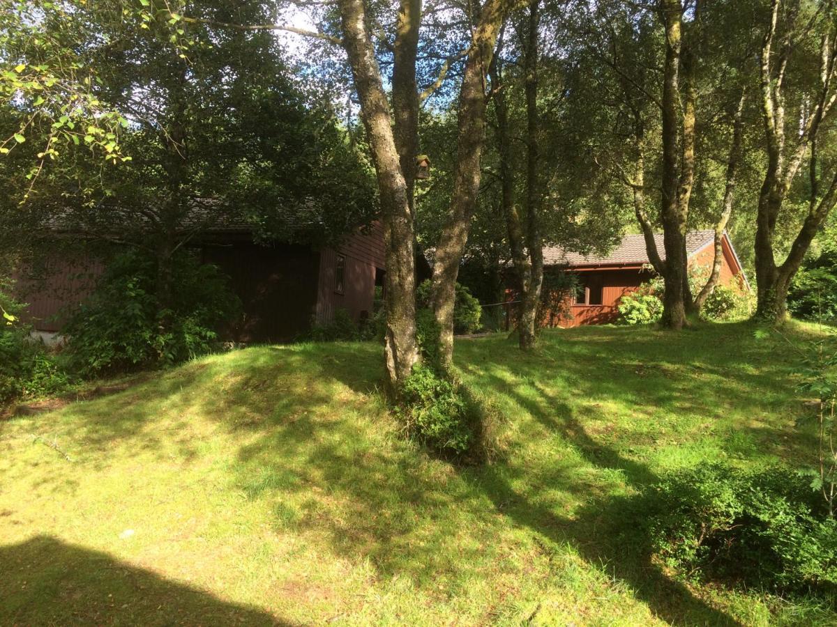 Birchbrae Highland Lodges オニック エクステリア 写真